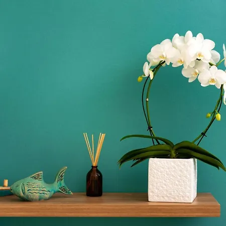 Saint Sin Romantic Suites And Spa Adults Only Hotel 4*