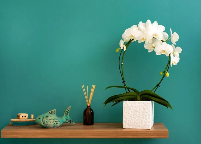 Saint Sin Romantic And Adults Only Hotell 4*